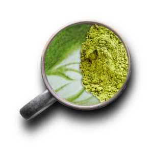 Matcha Man